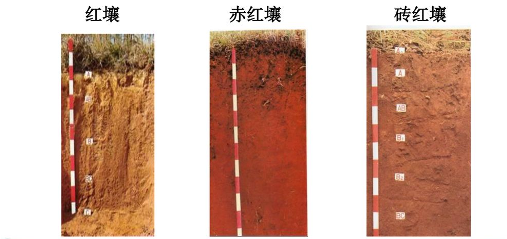 我国禁止用红砖建房，红砖有什么危害？未来该用什么来盖房？