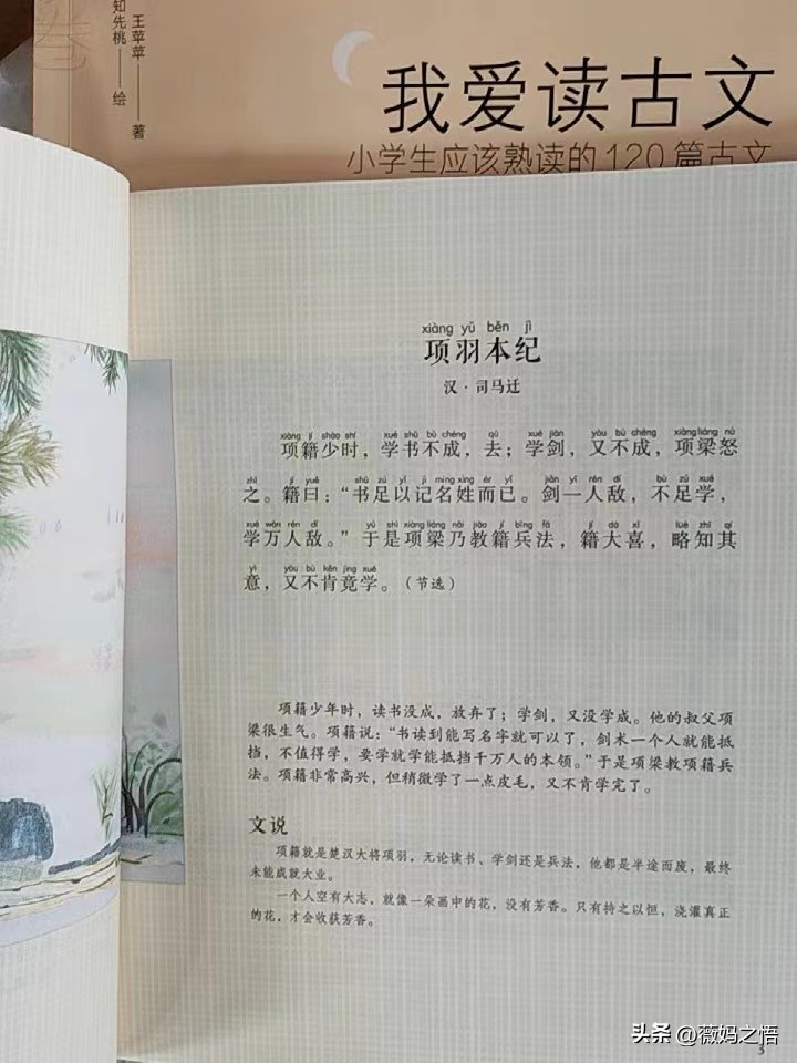 在聊天途中，王姐对张姐说还是你家孩子厉害，每次语文成绩都是第一名