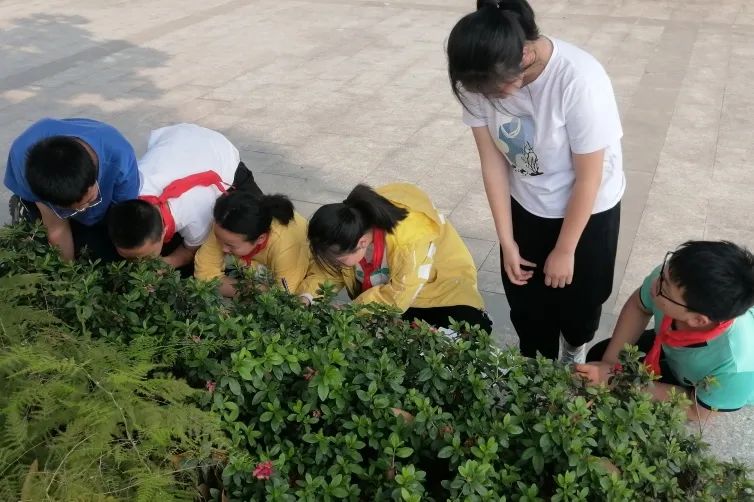 黄甲小学开展“人人参与科技节，我的科技节我做主”科技节活动