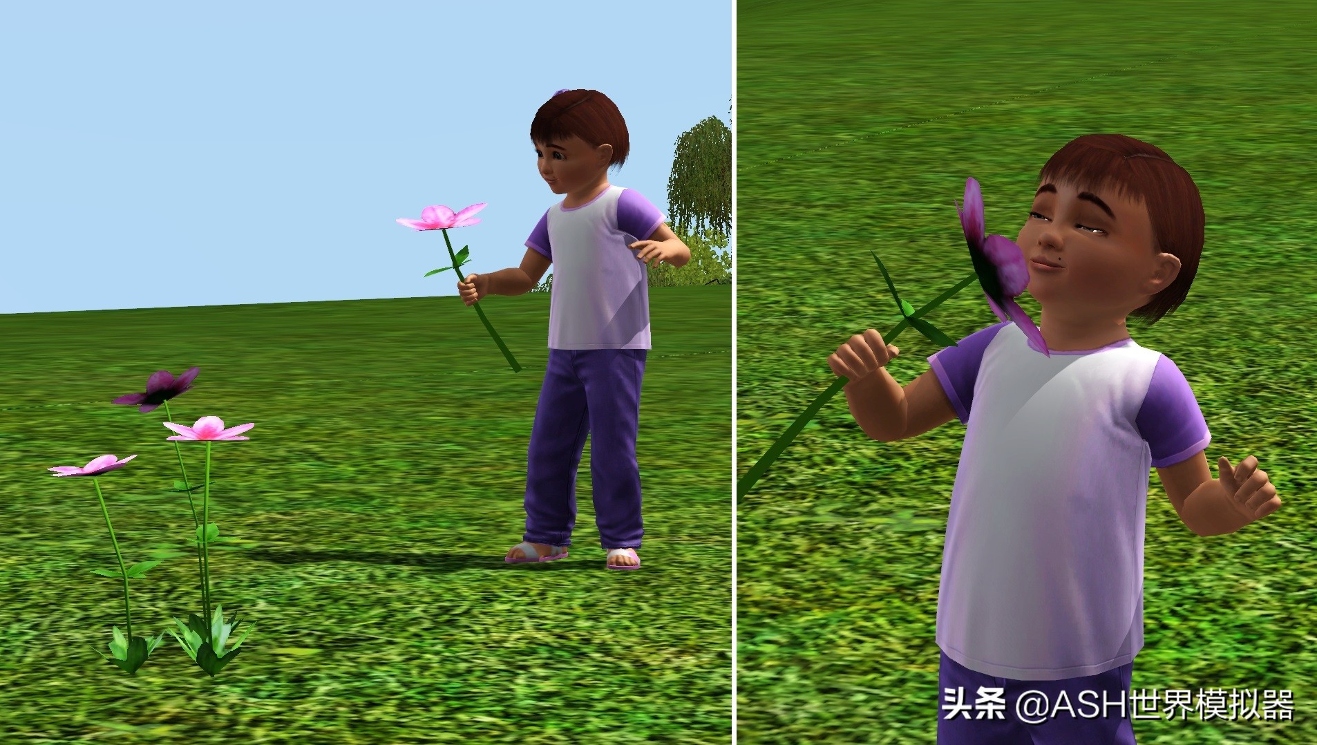 模拟人生3.幼童Sim随机摘花+抓蝴蝶MOD模组（动作脚本CC）