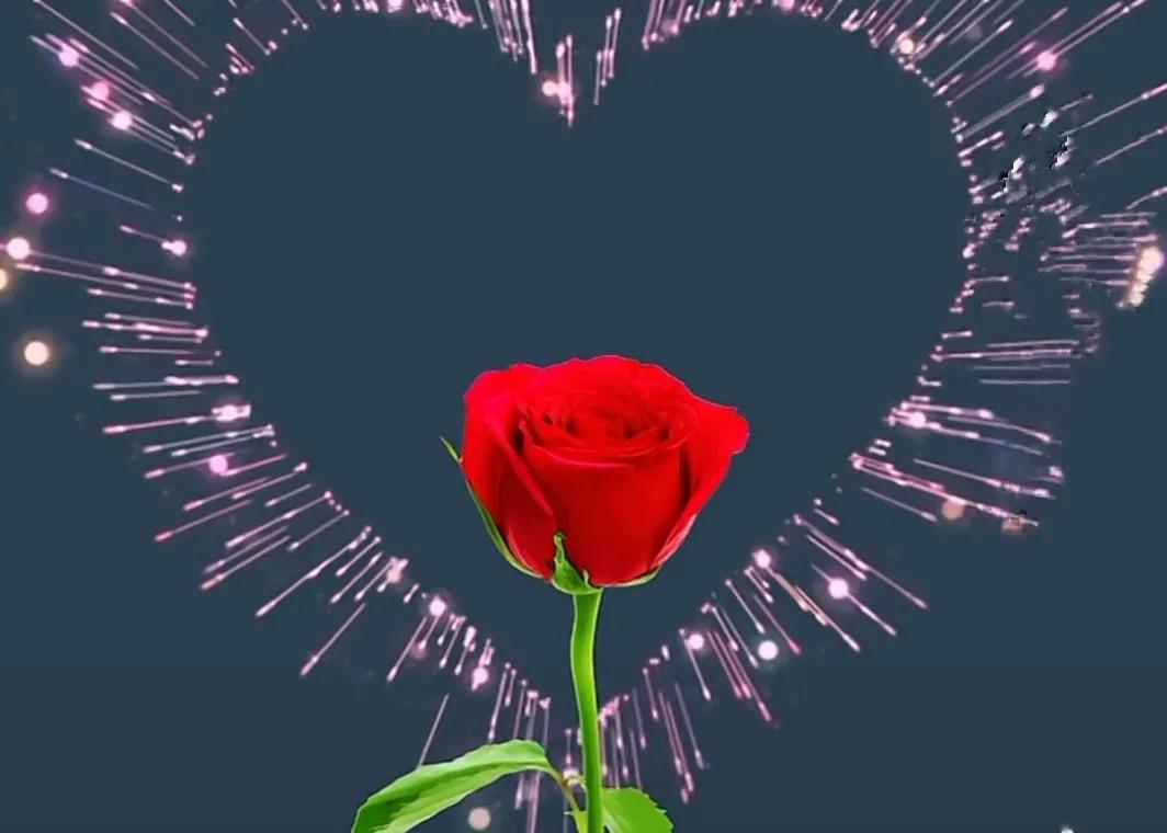 有你温暖一生，此情千金不换；你是我最暖的归宿，也是永远的至爱