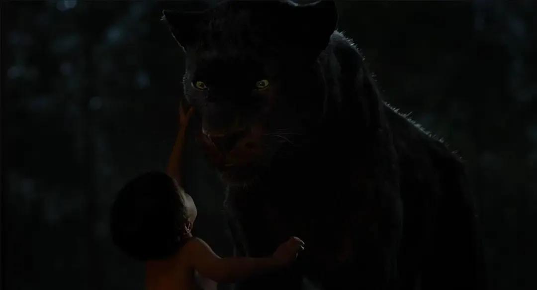 奇幻森林（电影）