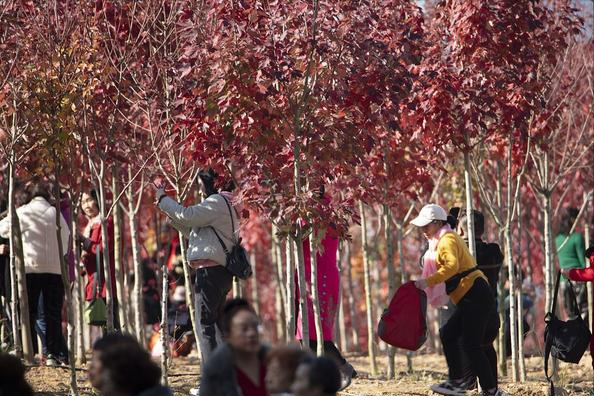 福建省高校寒假时间公布，部分大学进行调整，假期有望统一提前