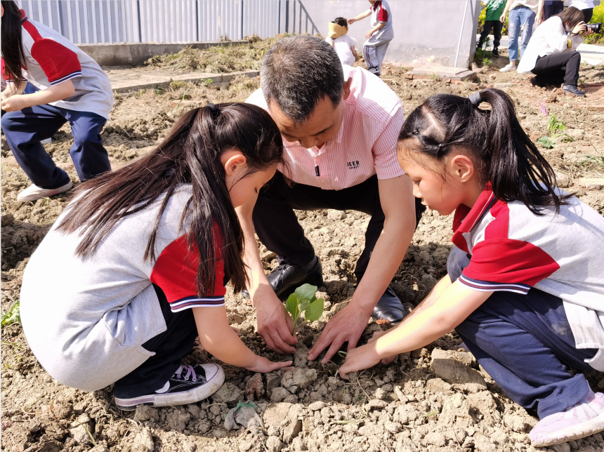 “心与心行 劳动有我”|新兴中学附小开展五一劳动周实践活动