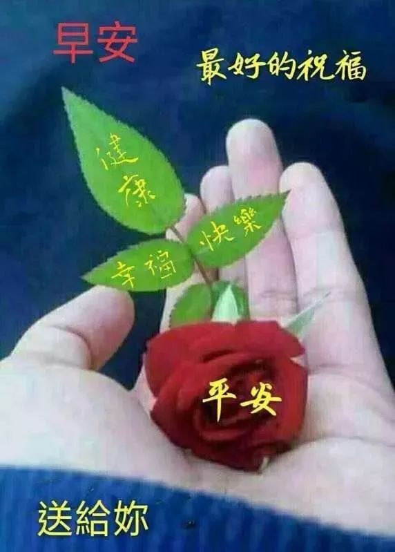 祝福远方的朋友，最近一切安好，周五早上好，祝你生活如意图片