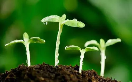 中考政策调整，2023落地实行，最后的机会