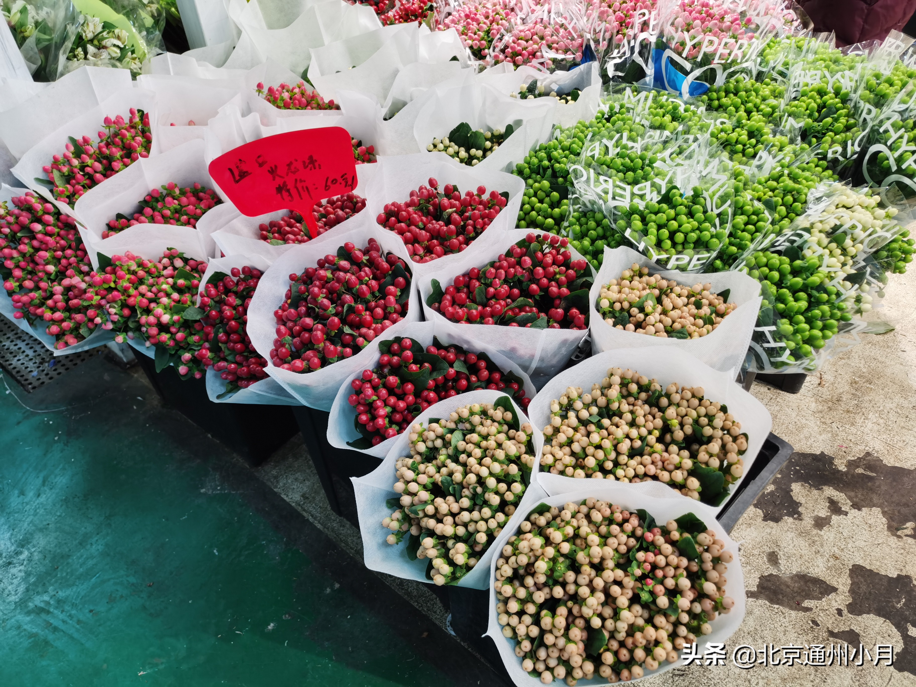 北京花卉批发市场都有哪些地方，北京花卉市场种植基地