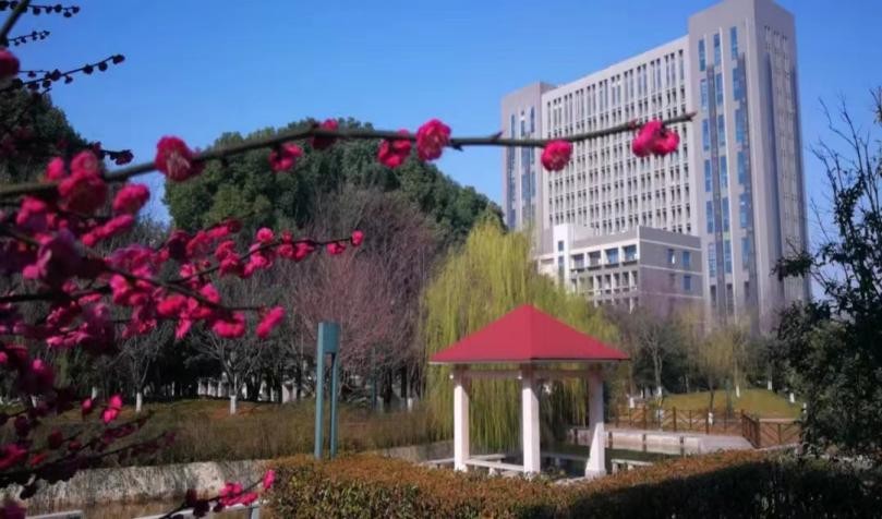 湖北“最铁”6兄弟：来自同校同宿舍，现上岸名校，签约世界500强