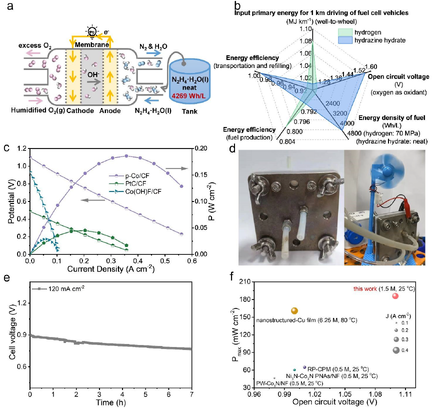 推陈出新！等离子体合成电催化剂，登上影响因子35+期刊