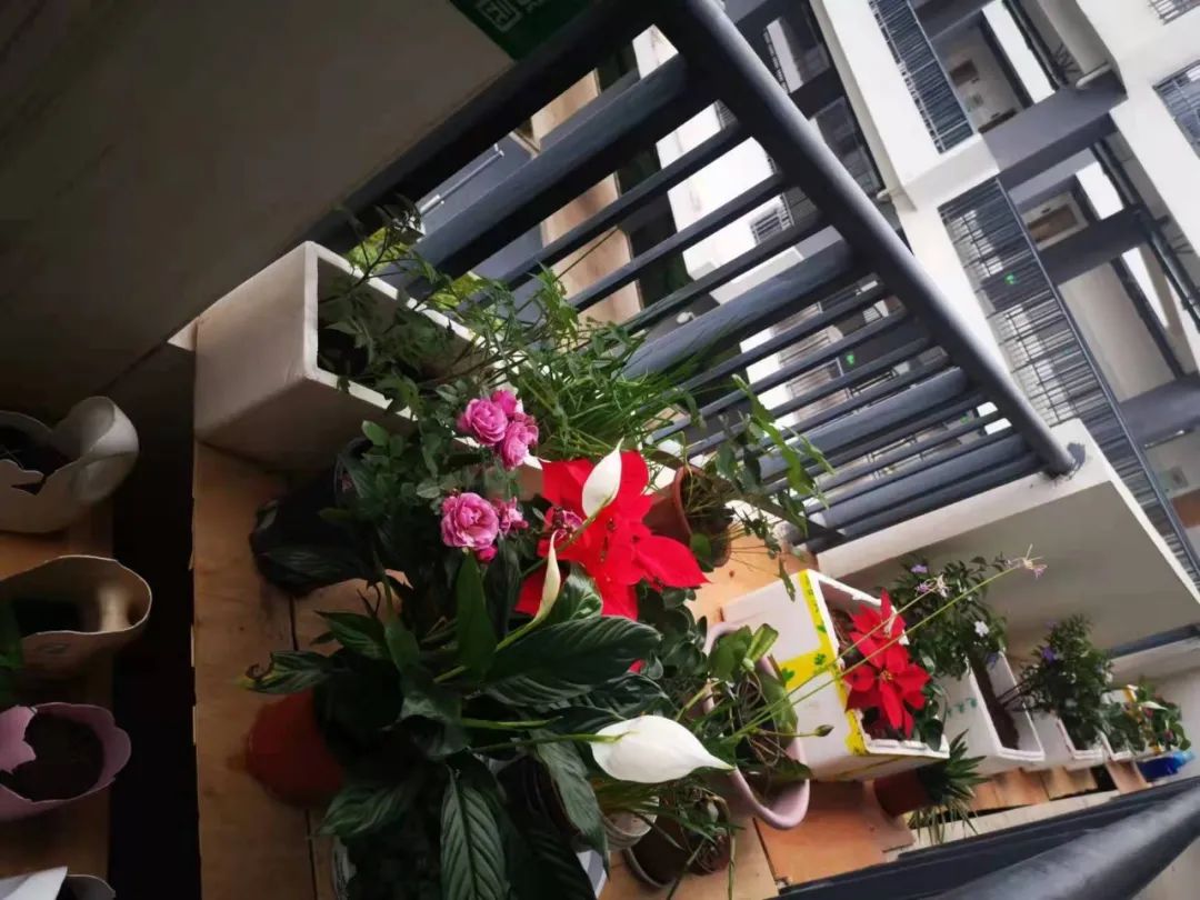新兴中学和附小承办并开展“携手青春，微笑向阳”心理健康活动
