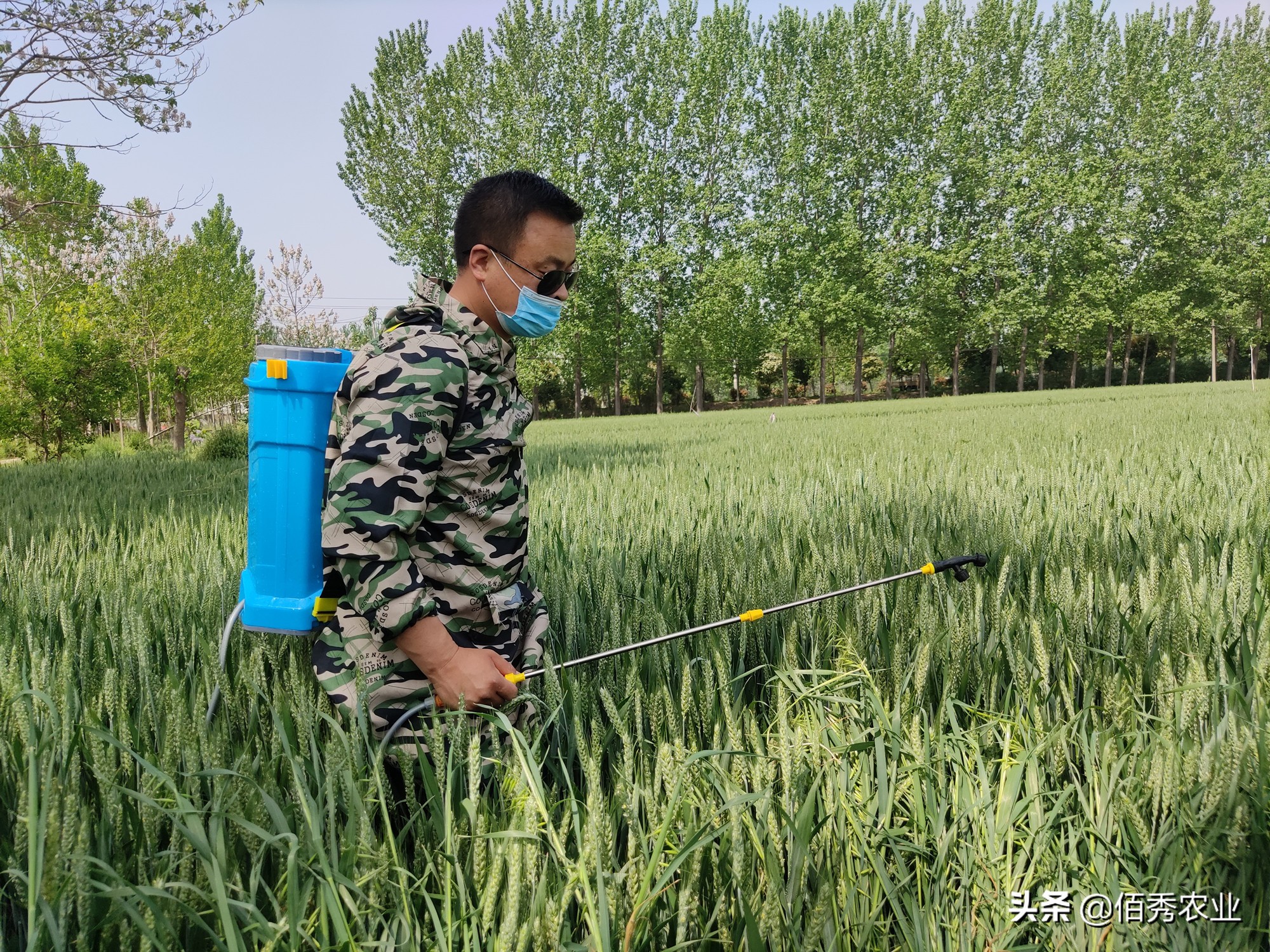 专家提出：农民不种地是好事，有利于农业现代化，你怎么看？