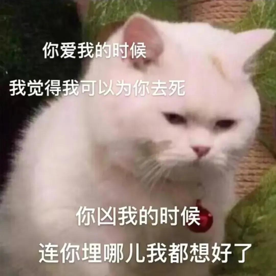 表情包竖起我八卦的小耳朵