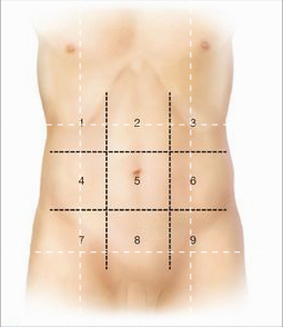 如果肚子疼了怎么办？应对腹痛的三个步骤