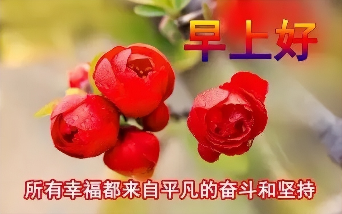 唯美温馨的早上好动态表情包 幸福满满，快乐每一天图片