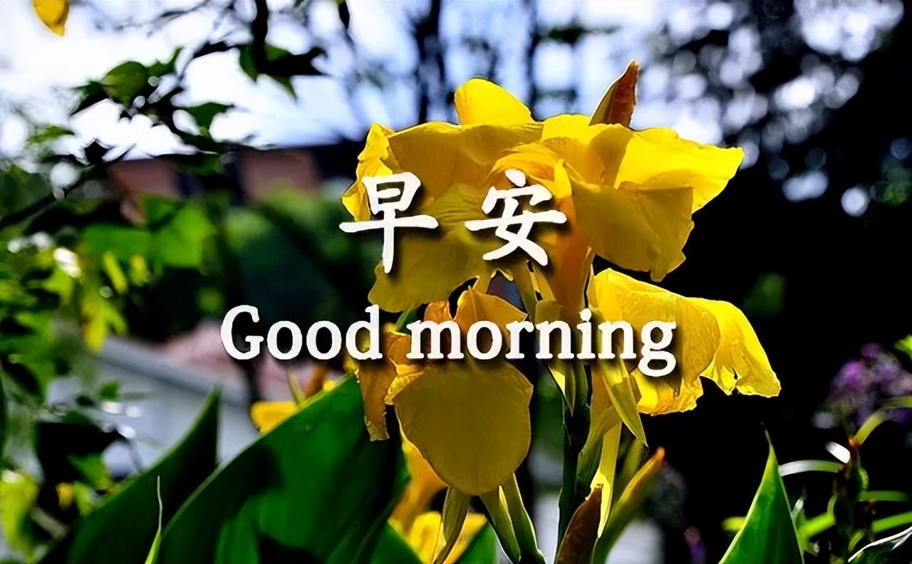 周日微信早上好的问候语祝福图片鉴赏 快乐来自心灵的感恩和祝福图片
