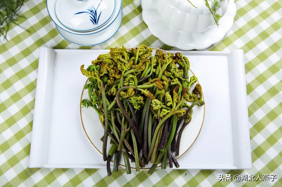 55种野菜大图片，带你见识不同的野菜和吃法，你想要的野菜这里有