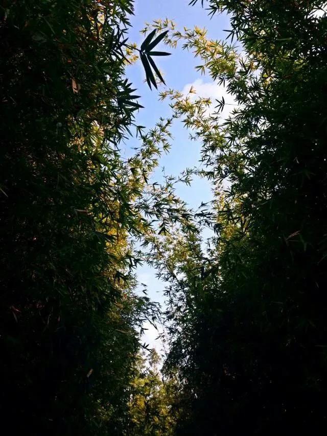 请别把我当傻瓜，有些事不是我不知道，只是我看在眼里，埋在心里