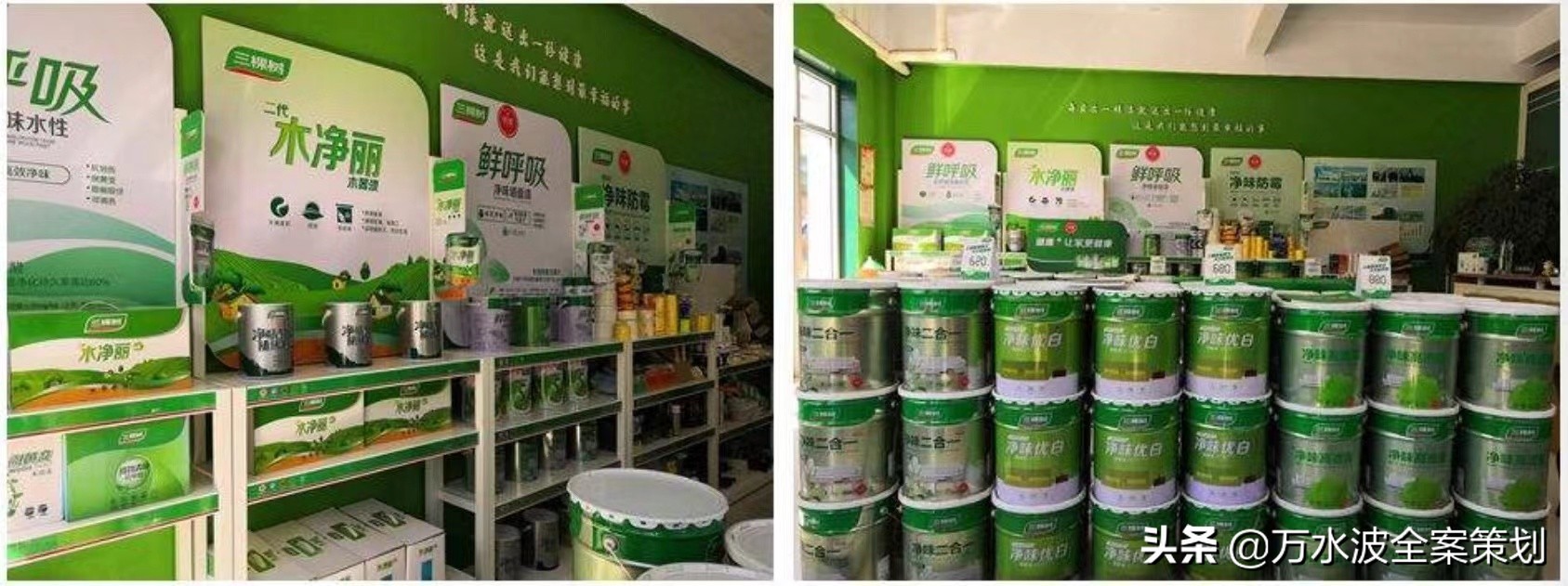 涂料品牌销售设计策划方案：万水波解读三棵树成为健康漆品类之王