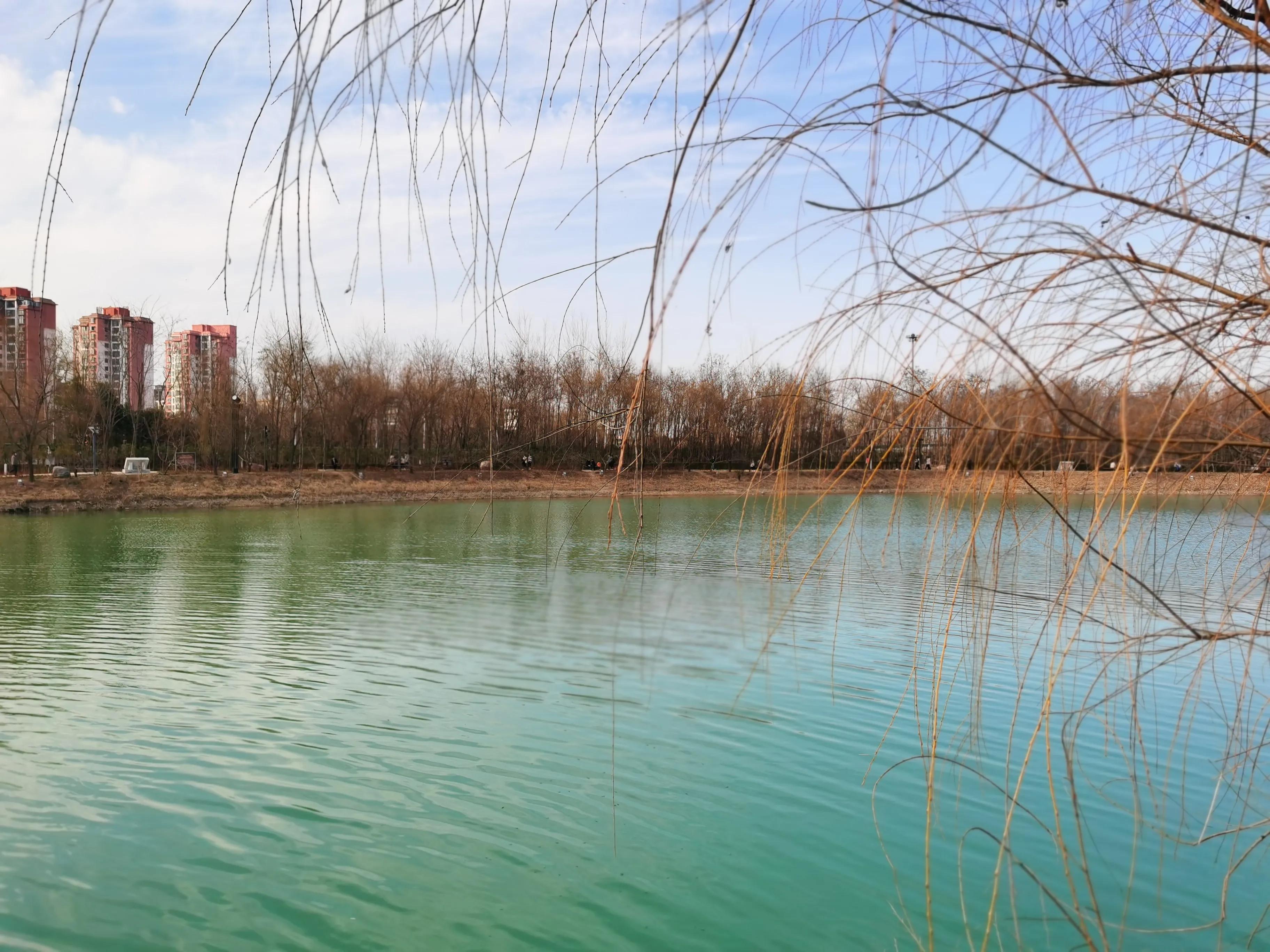 沈丘槐园(春日新槐园,人气旺到爆)