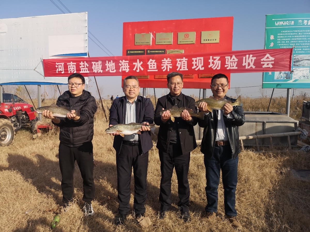 河南大学：以“党史+”模式为乡村振兴注入新动力