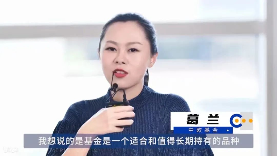 大众花借贷葛兰：金融创新与风险管控的深度解析
