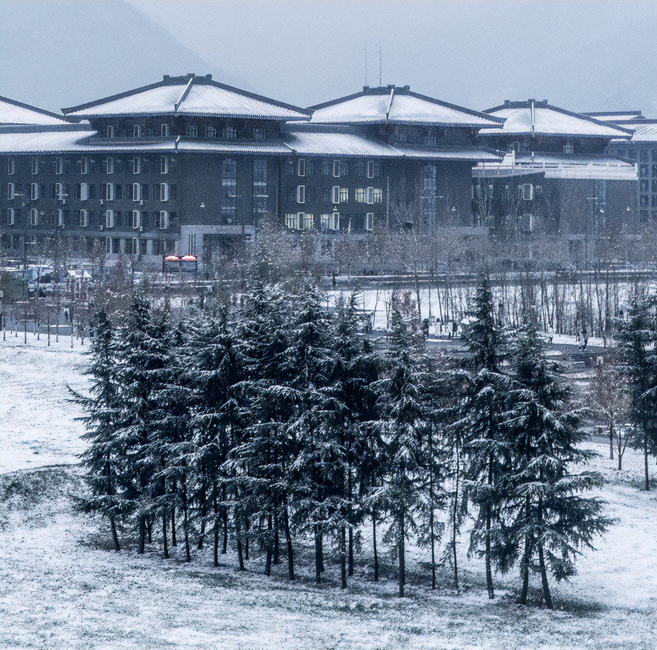 高颜值！陕西这所高校位于特大城市，占地4300亩！网友：风景绝美