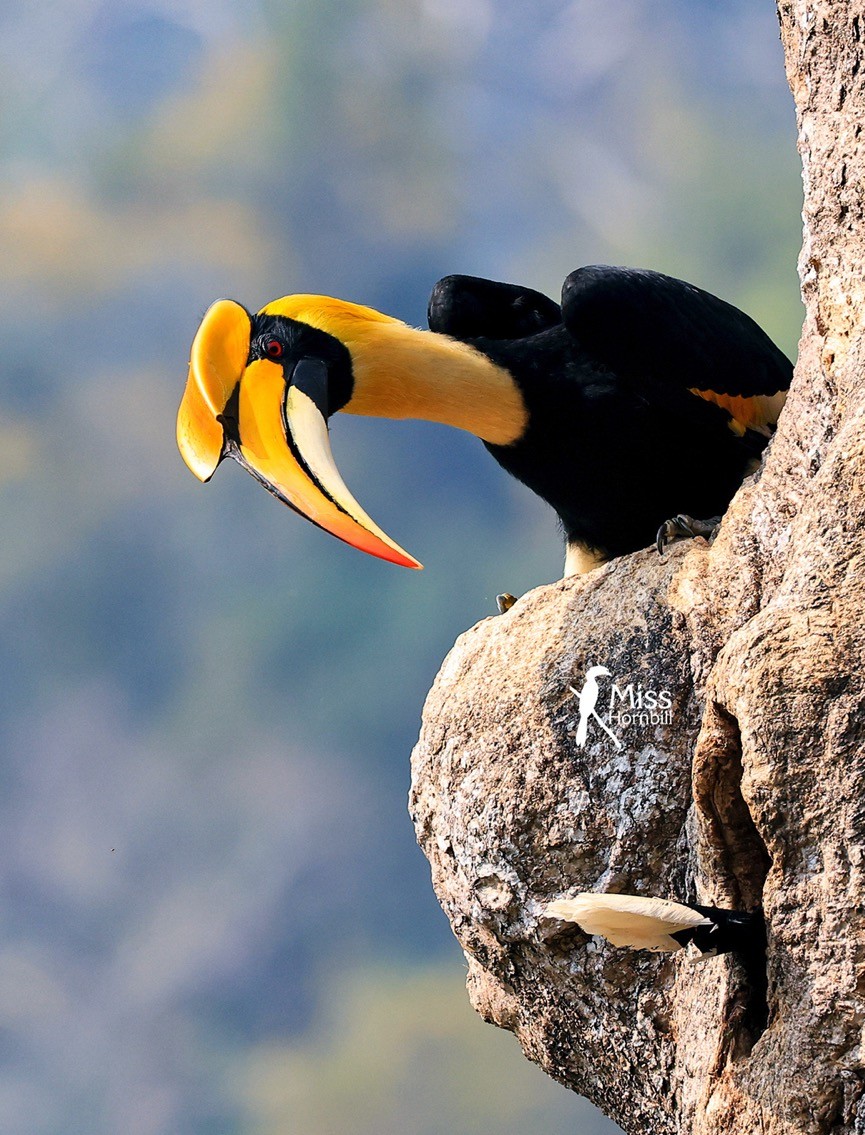 世界地球日（The World Earth Day），让我们用影像珍爱地球