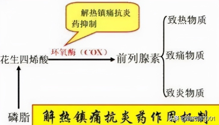 布洛芬，双氯芬酸等非甾体类抗炎止痛药有什么副作用？