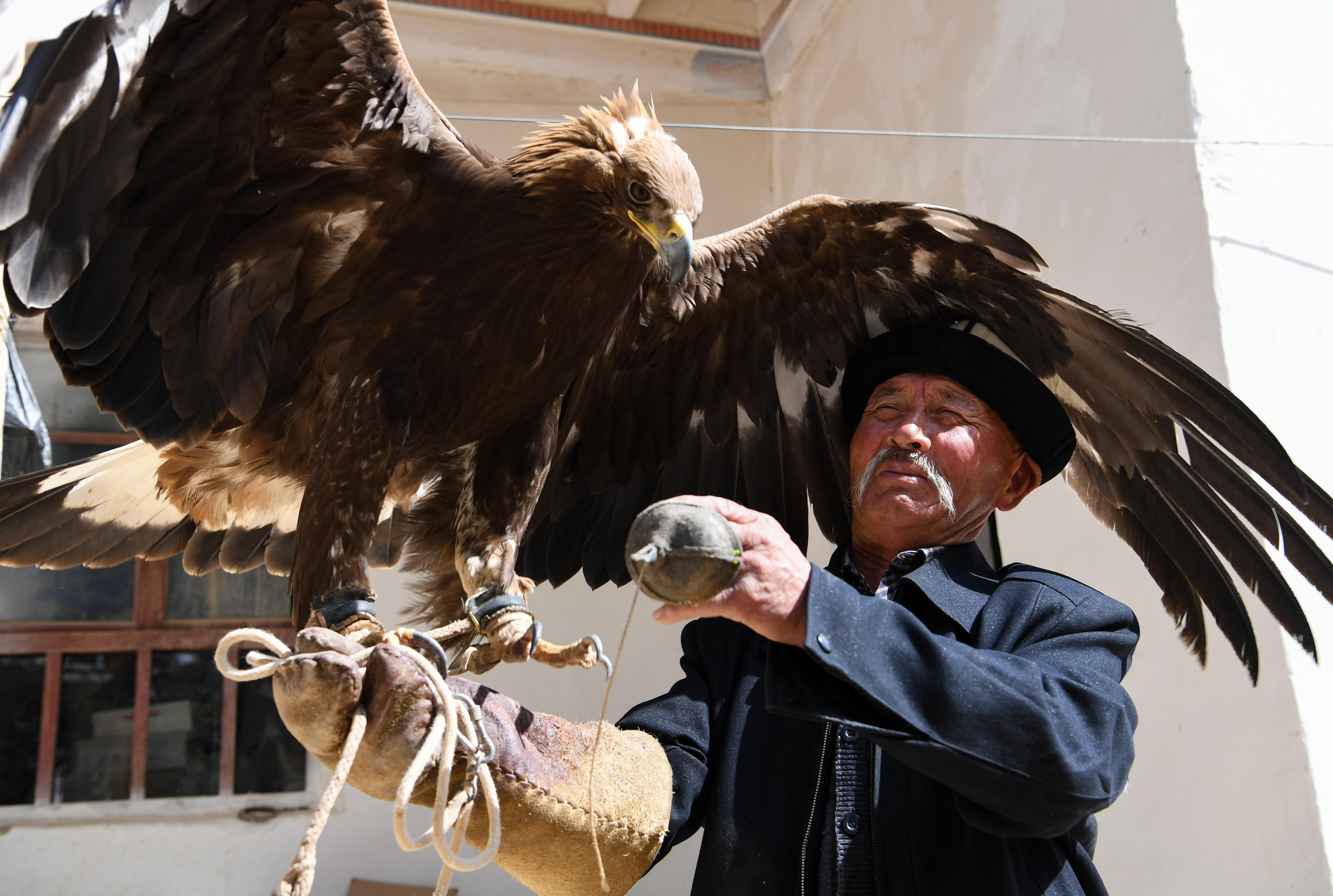 ڴգѵҵϡӦȴֻҪйͷ