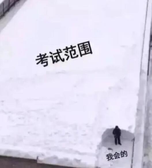 大学生期末复习现状：站着就不想学，跪着也学不会