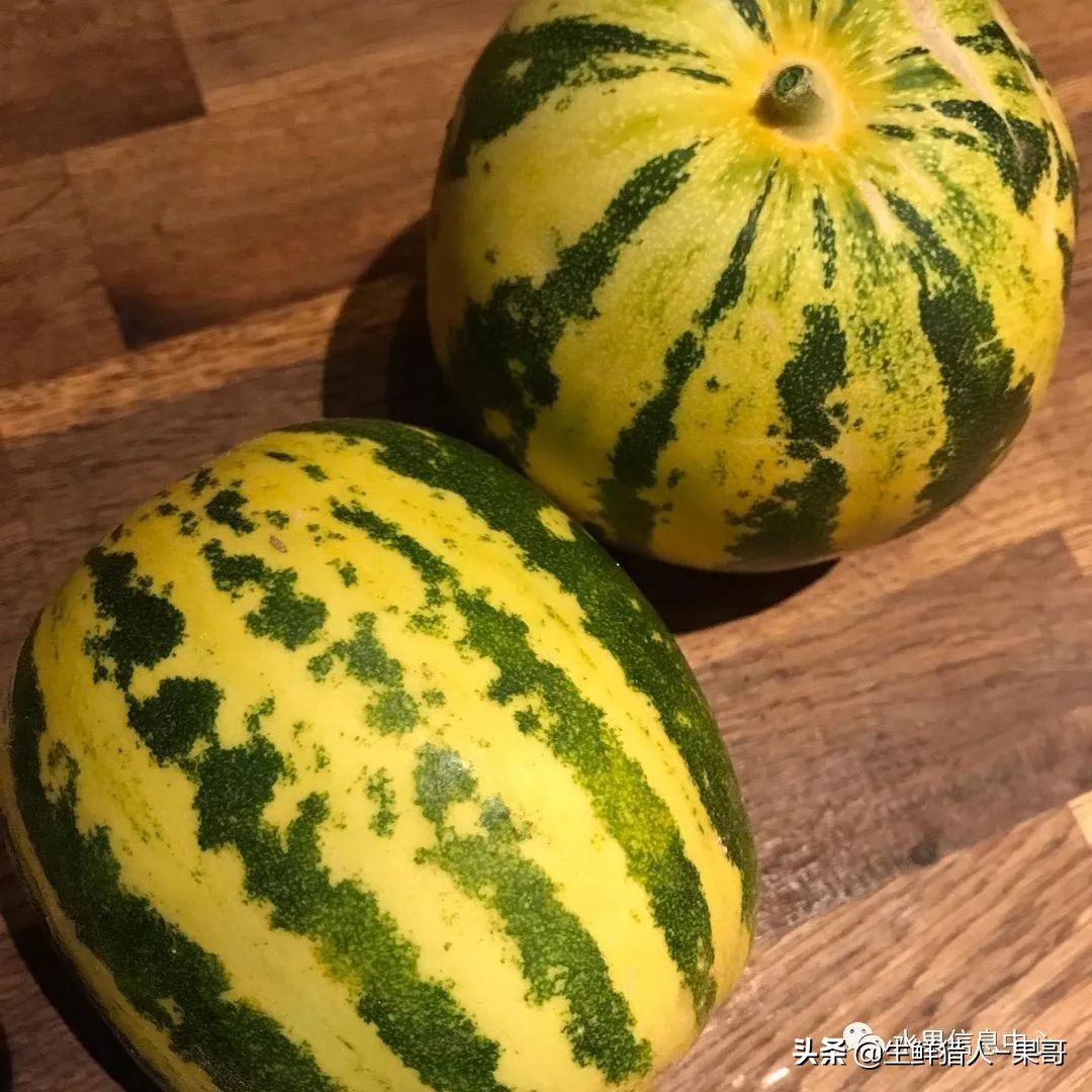 哈密瓜、蜜瓜、网纹瓜、香瓜、羊角蜜傻傻分不清？看完就明白了