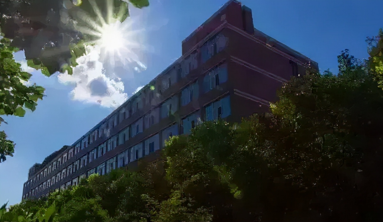 今日大雪！这所大学是东北最“暖”的地方之一