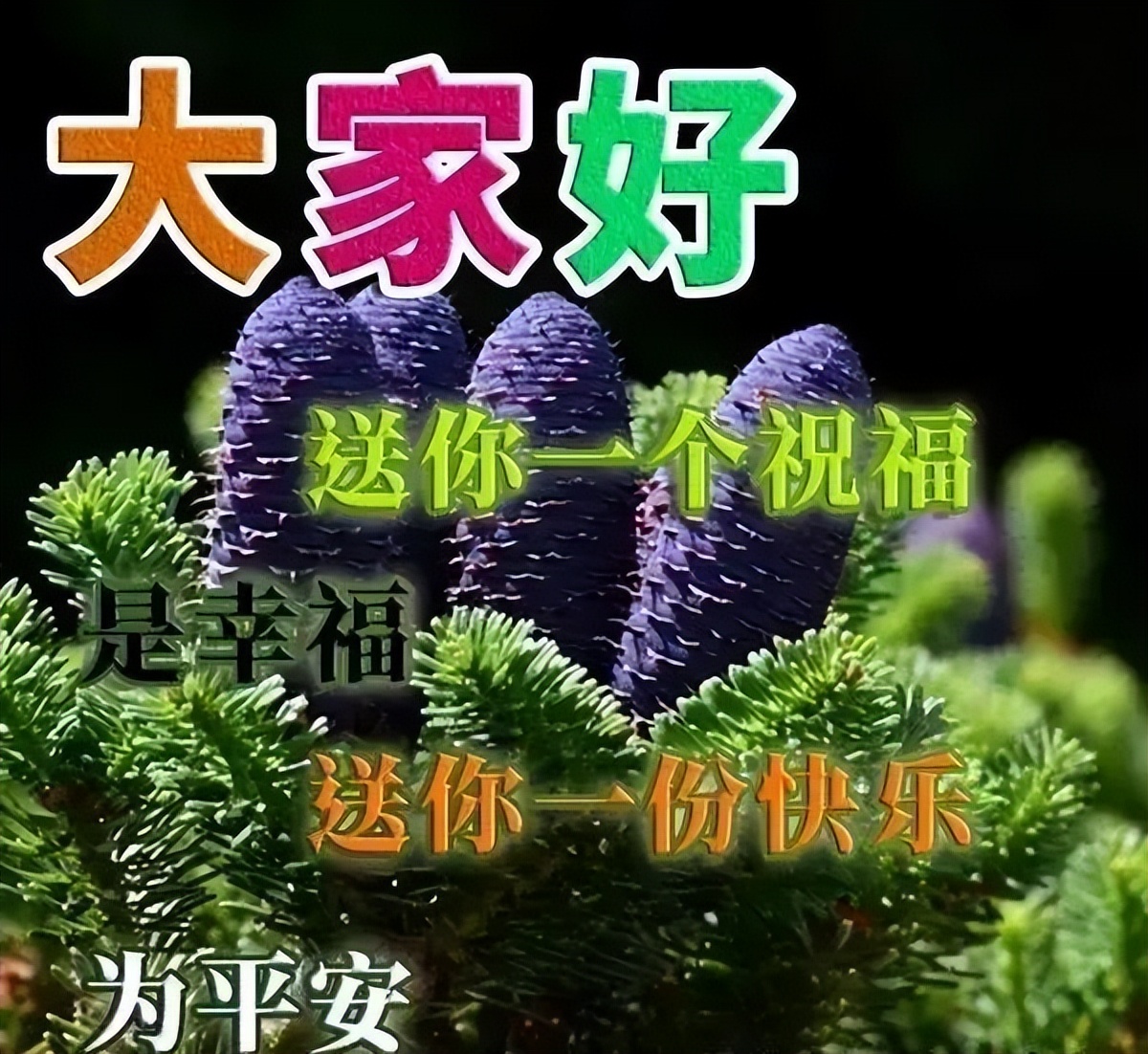 新的一周朋友圈阳光温馨正能量励志心语 让我们的今天从微笑开始图片