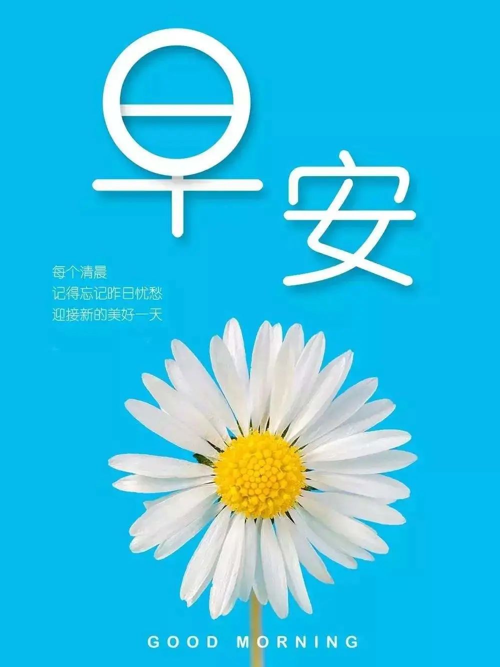 周四早上好祝福图片，早上好问候句子，送上祝福、一切美好图片