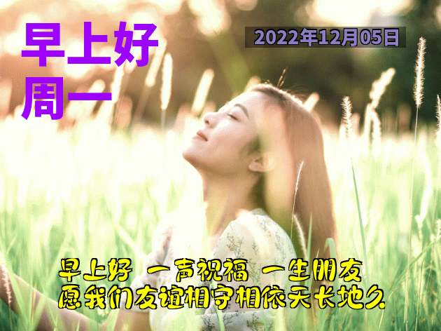 今日份漂亮早上好表情包图片 祝你开心愉快、幸福安康图片