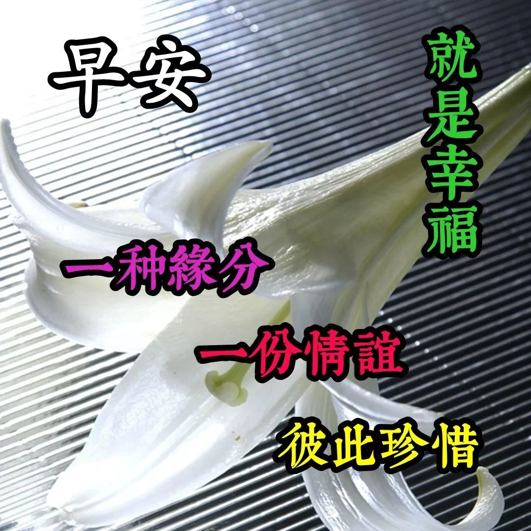 微信早上好图片带字 朋友早晨好美图大全 祝福你快乐吉祥 平安健康图片