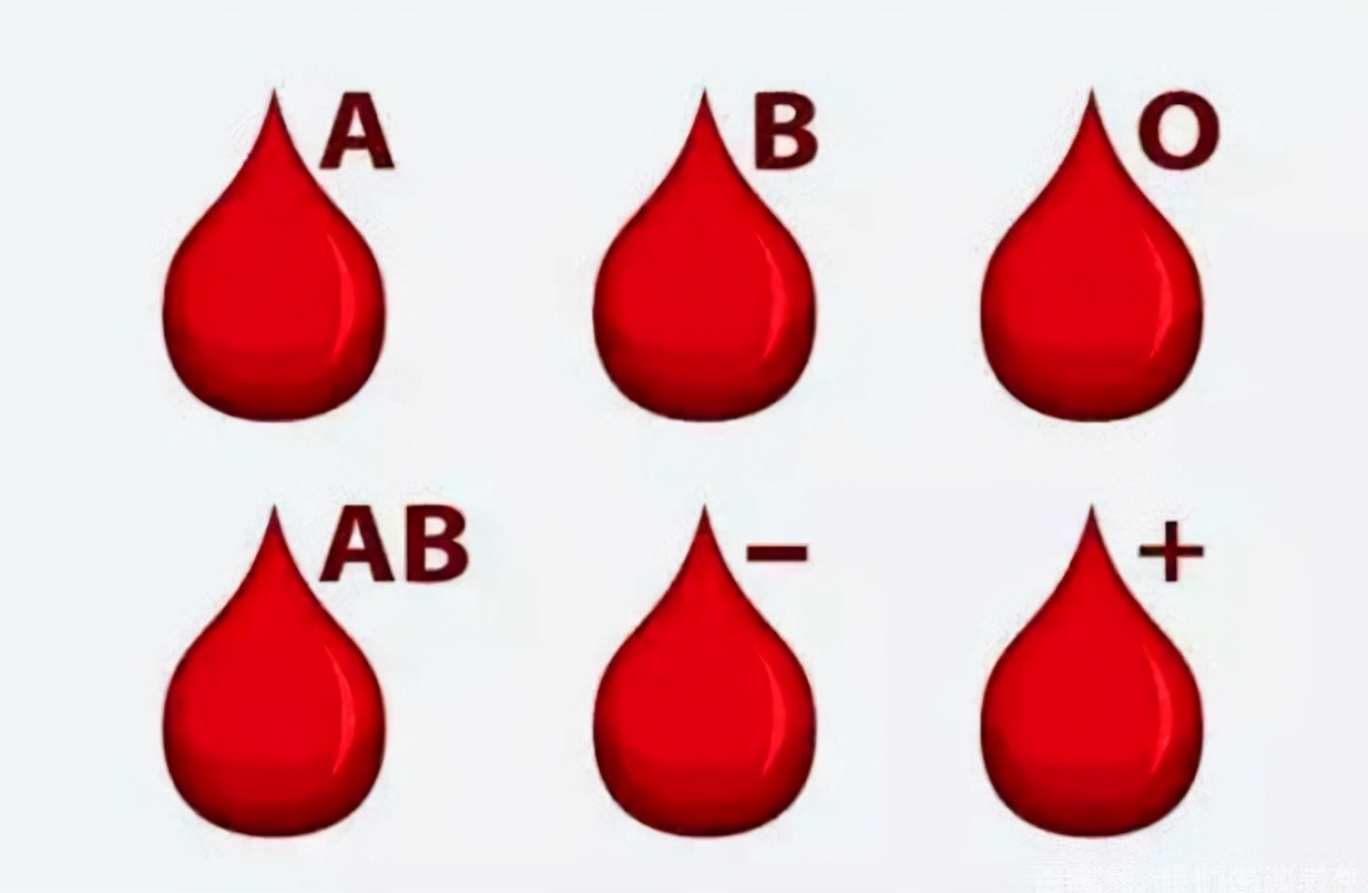 A型、B型、AB型、O型血，哪种血型身体好点？你是啥血型？