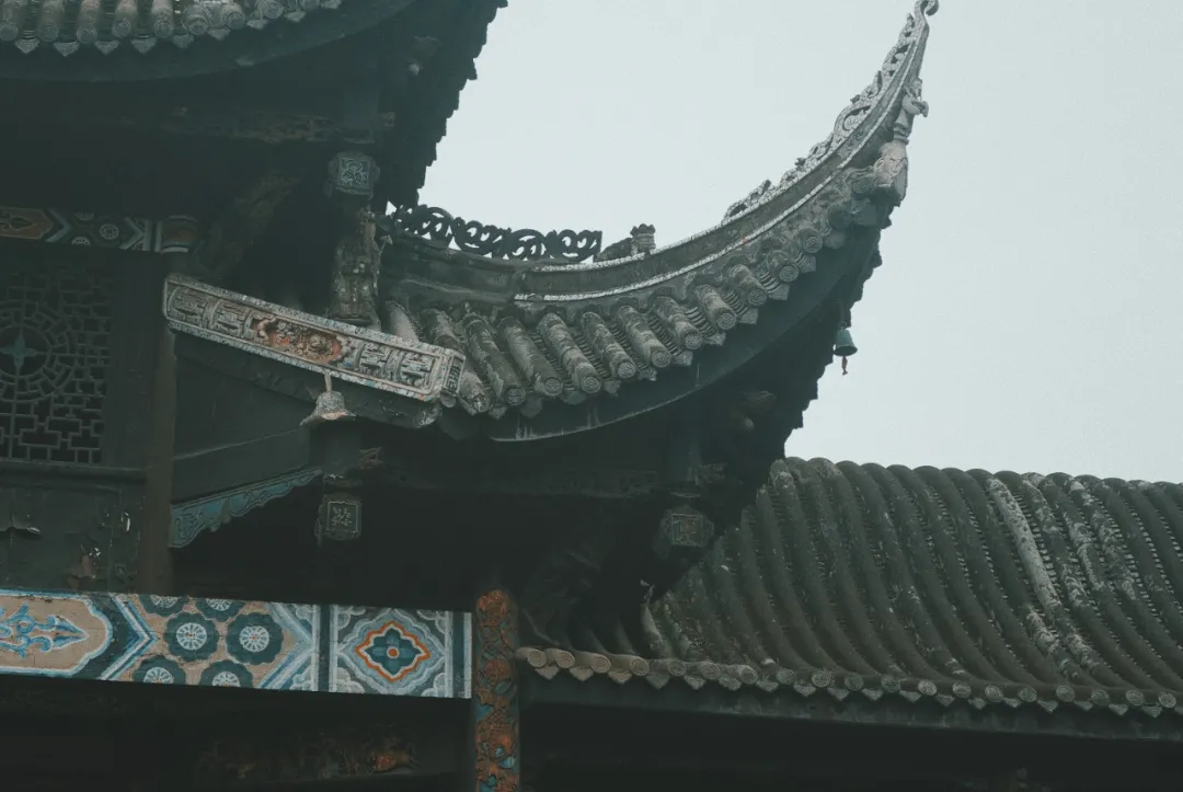 最近超火的盐帮菜之乡让我大开眼界，奇怪的知识又增加了