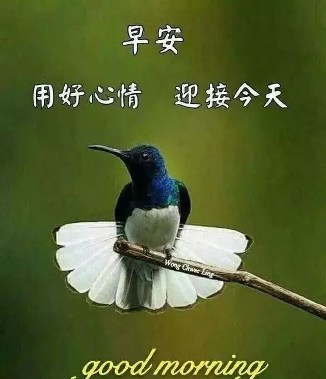 阳光周末早晨好图片动态大全，早安朋友，感谢一路有你陪伴图片