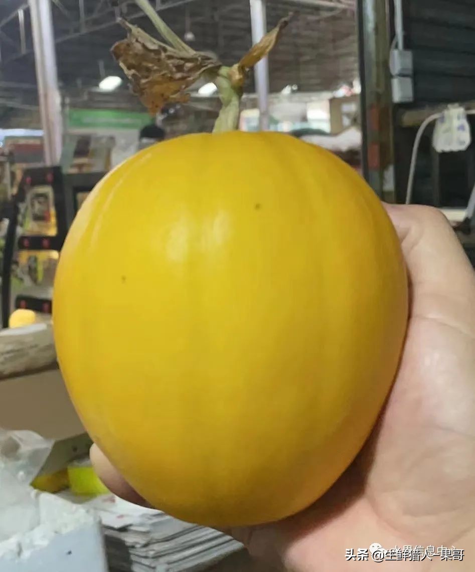 哈密瓜、蜜瓜、网纹瓜、香瓜、羊角蜜傻傻分不清？看完就明白了