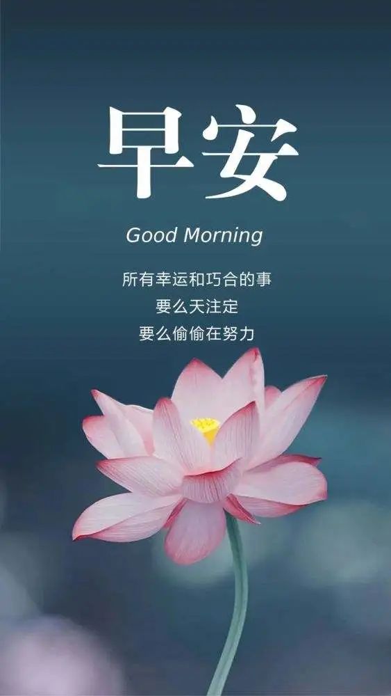06.29」早安心语,正能量激励奋斗的语录句子 温馨励志图片