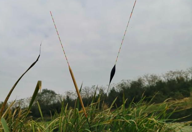 带你看看各种浮漂的优缺点 - 114货源网