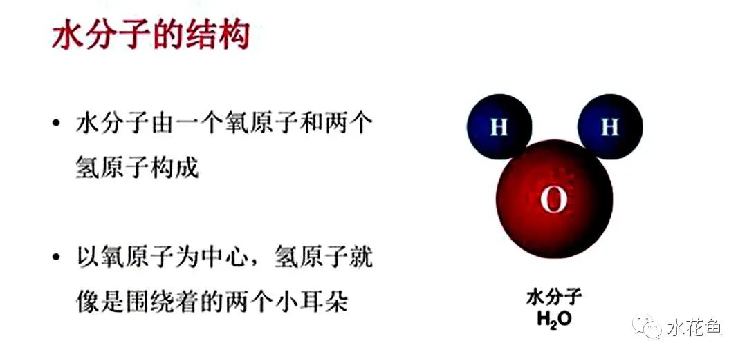 “活水”養(yǎng)魚：從“分子”角度去認識神奇的“水分子”