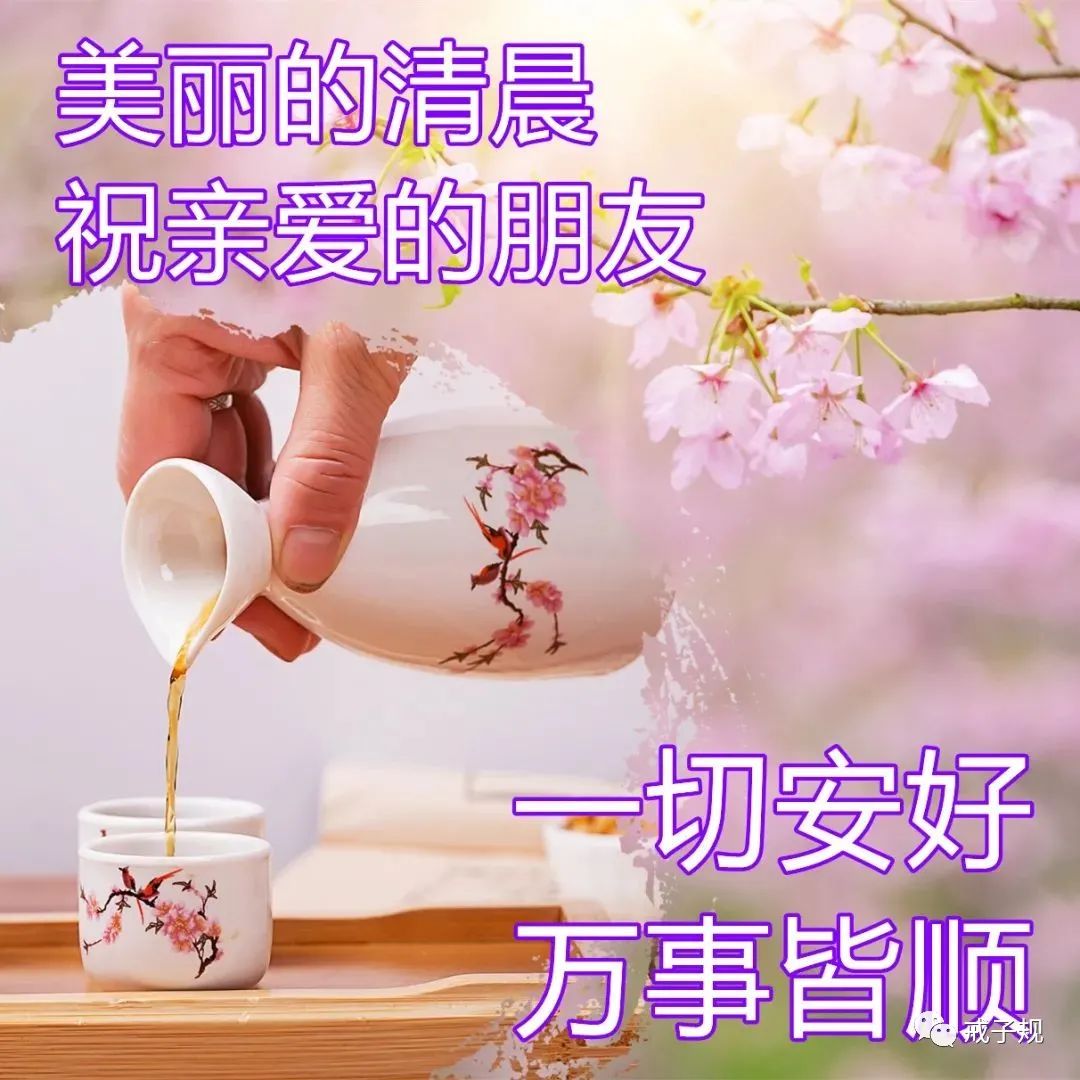 早上好祝福问候唯美图片,朋友圈感悟人生的心灵鸡汤语录