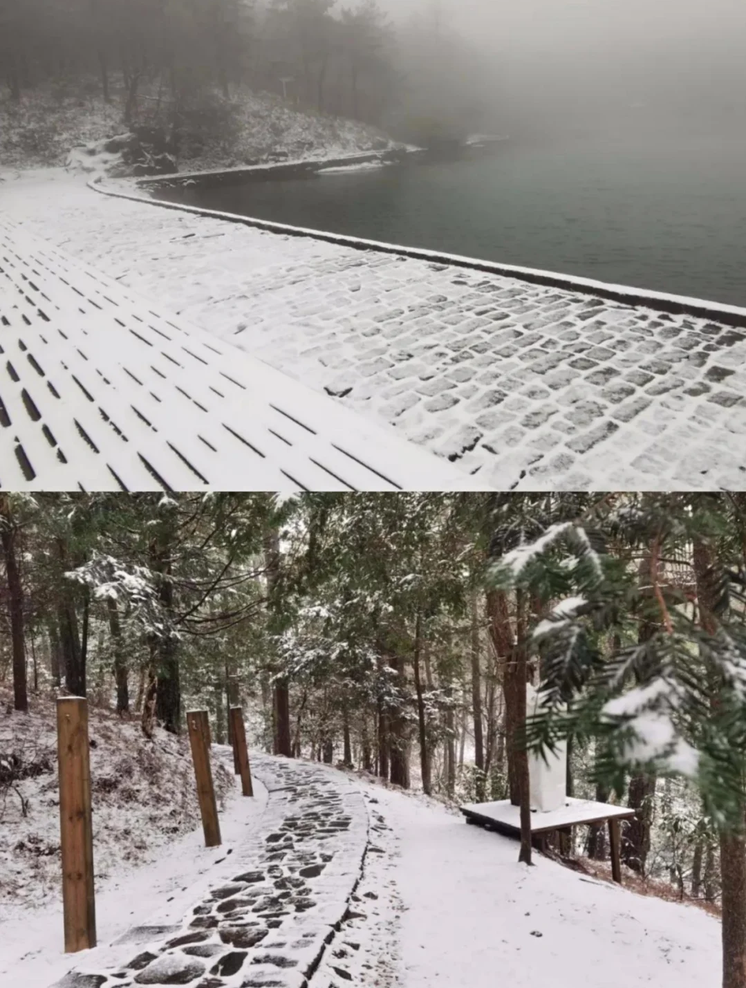 宁波玩雪攻略，下一场雪即将到来，提前码住即刻出发