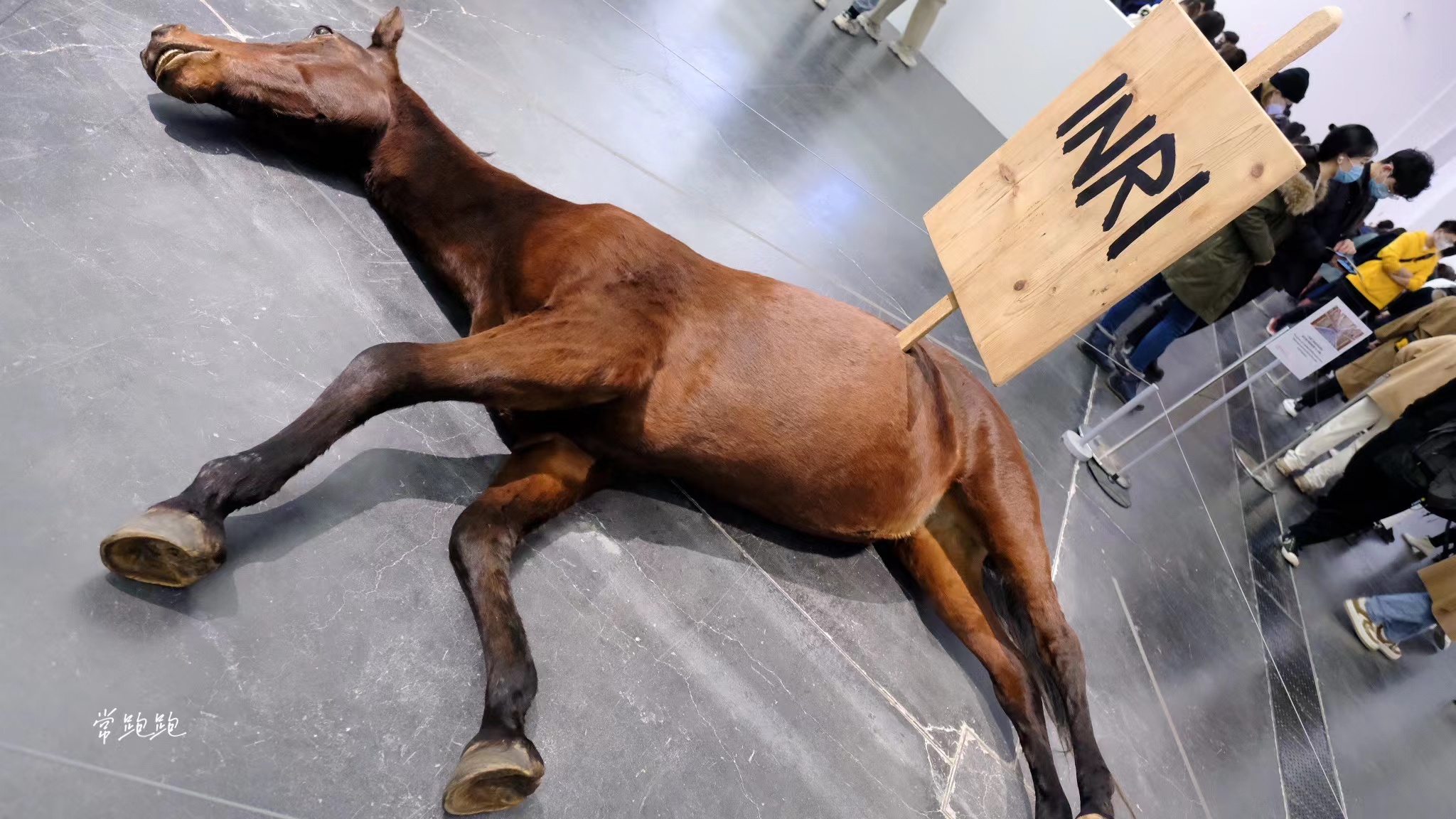 "卡特兰:最后的审判":不止那根天价香蕉 藏在黑色幽默的审视中