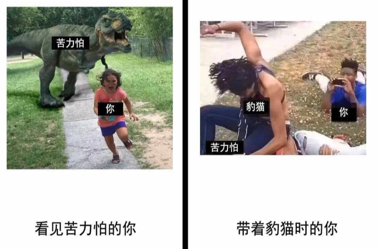 盘点《我的世界》里那些经久不衰的梗，老玩家：有被笑到