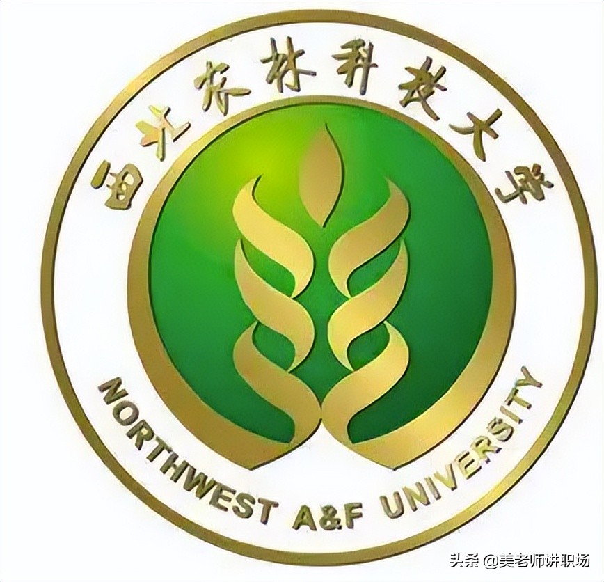 万字点评：全国31省市各排名前五共155所高校