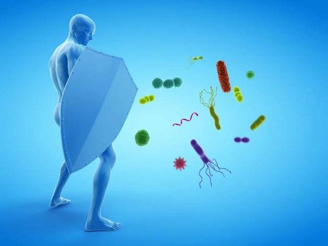 断食两天或能重启人体免疫系统？美国研究公布结果，越早知晓越好