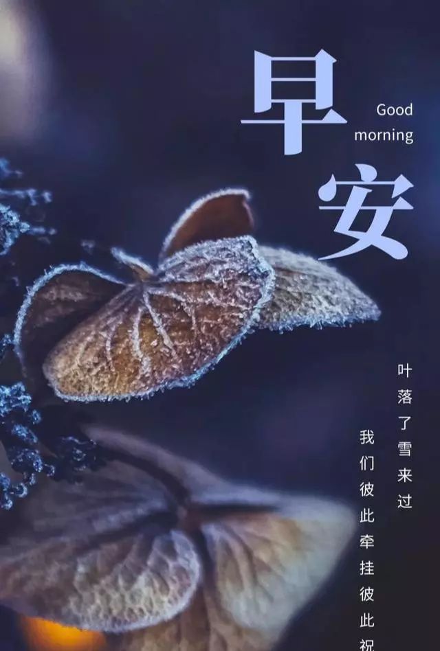 早上好朋友，早上好图片大全 早晨好表情包 祝你天天开心好心情图片
